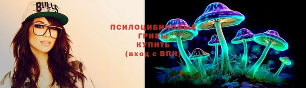 амф Михайловск