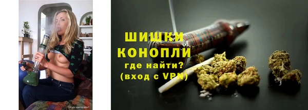 PSILOCYBIN Михайлов