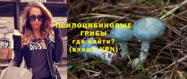 PSILOCYBIN Михайлов