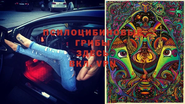 дурь Михайловка