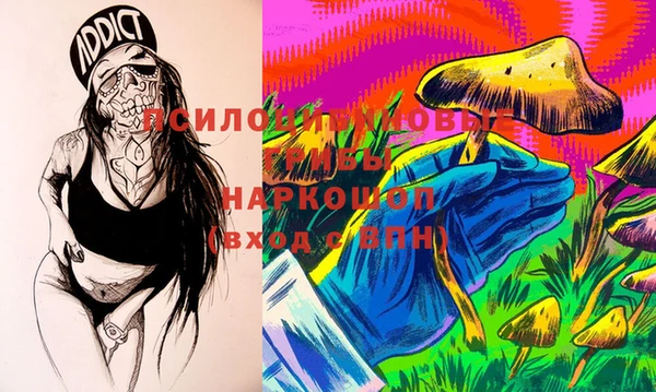 PSILOCYBIN Михайлов