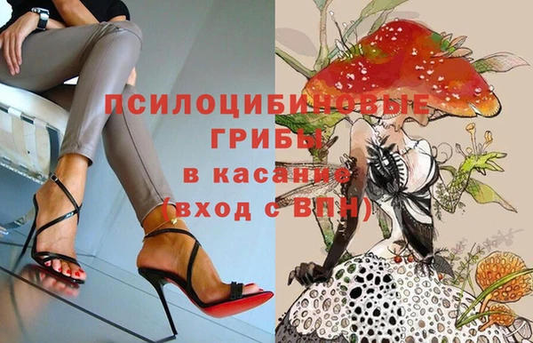 амф Михайловск