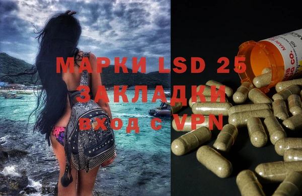 PSILOCYBIN Михайлов